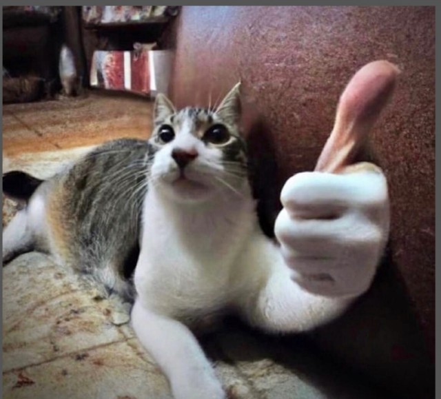 Это шедевр!