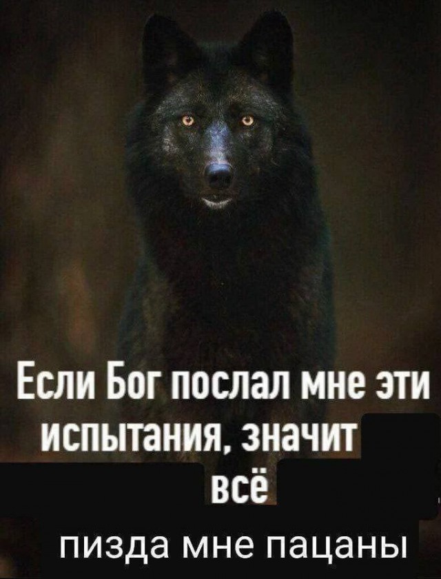 Всего понемногу. От 30.11.23
