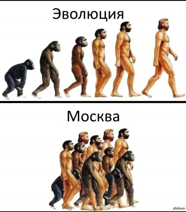 Окаменелость возрастом в шесть миллионов лет раскрыла, как человек стал прямоходящим