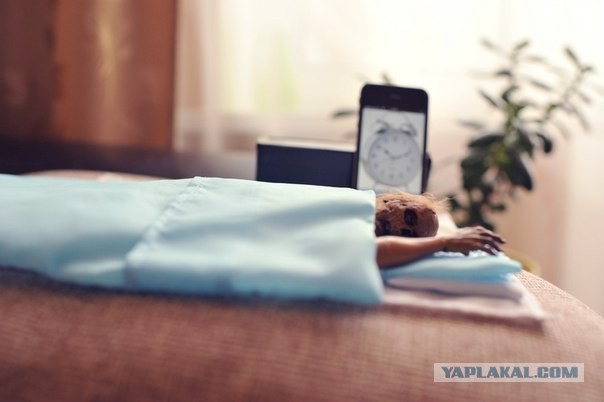 Типичное утро девушки