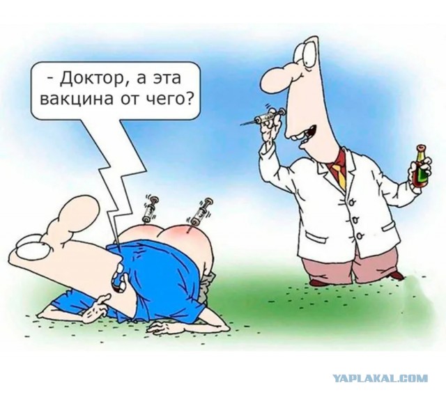 Пандемии не было