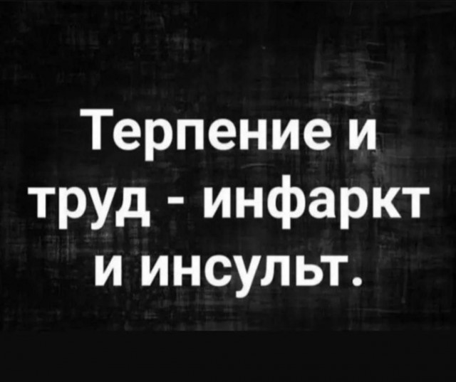 Так себе картинки 26.08.24