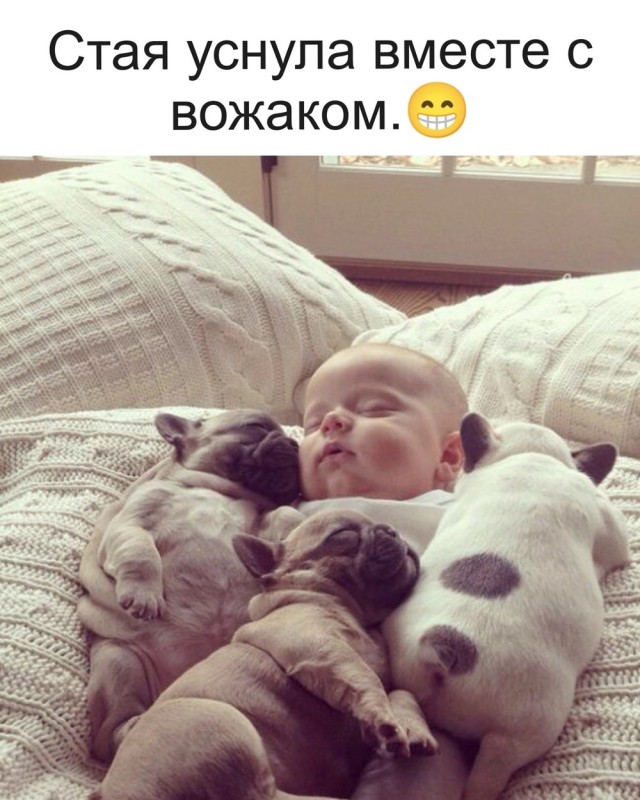Картинки разные с надписями и без