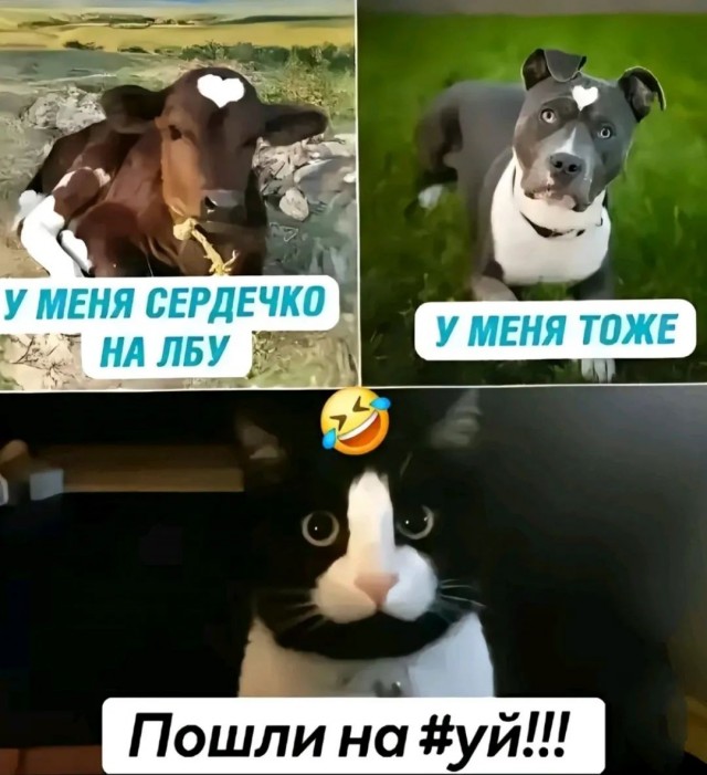 Завалялось тут случайно немного забавных картинок