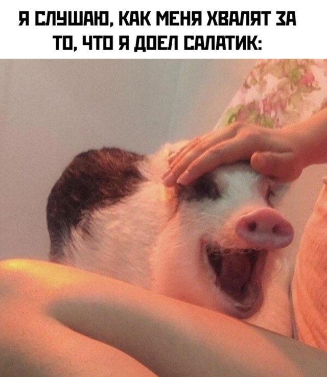 Весёлый полтишок 03.01.25