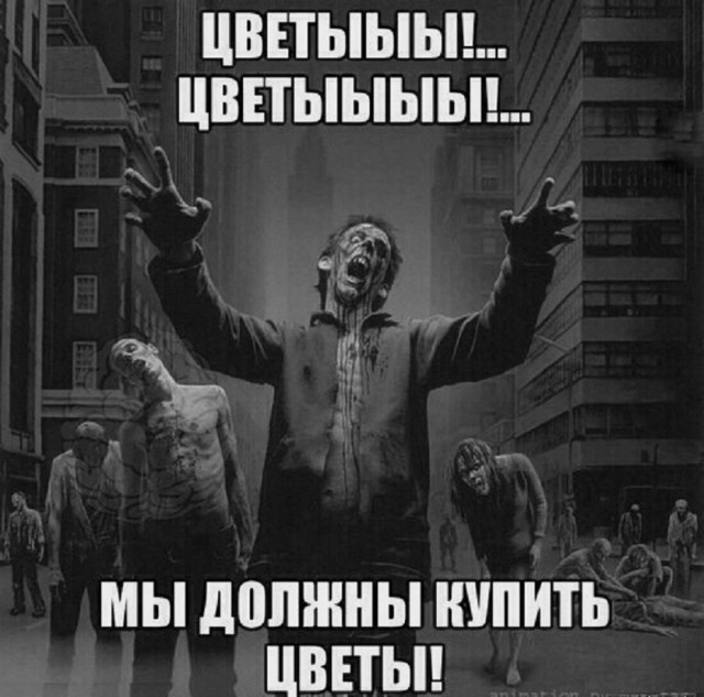 Так себе картинки 08.03.25