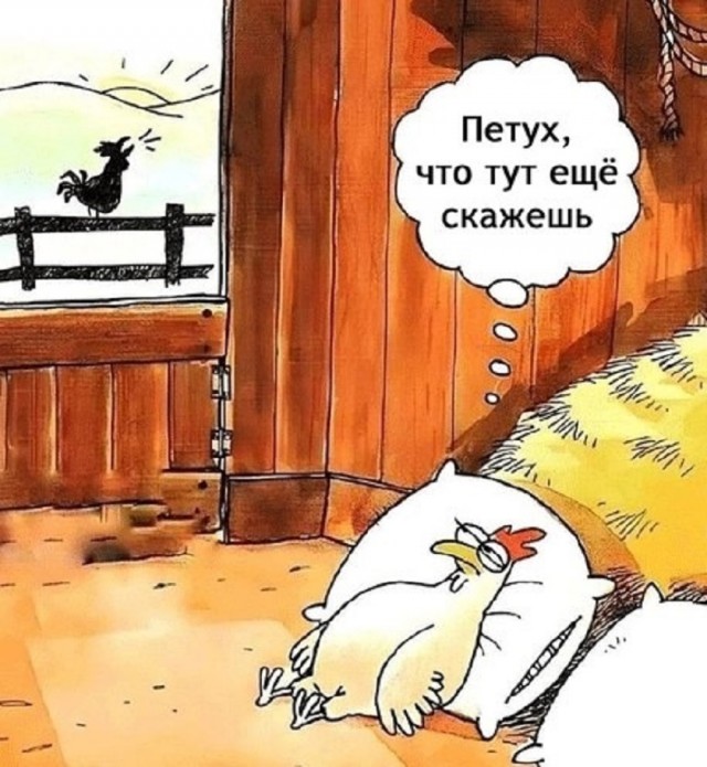 Так себе картинки 17.03.25