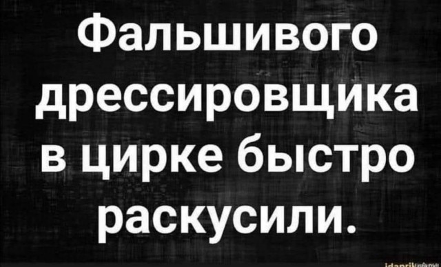Маленькая пятница 26.03.25
