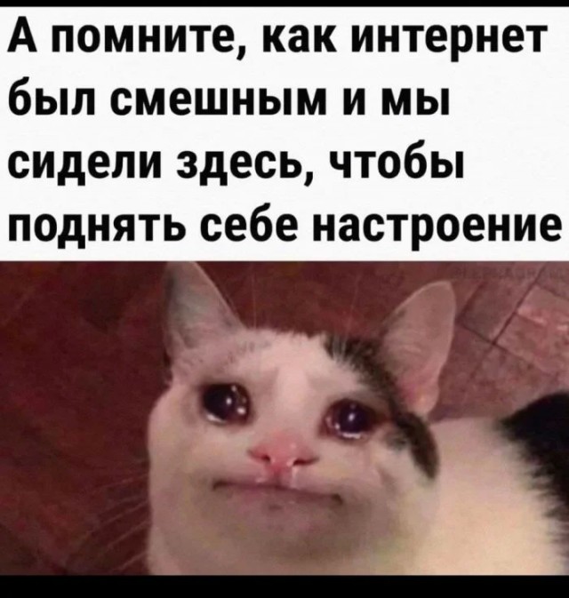 Юмор для тех, кто уже повзрослел и понял, что «свободное время» — это мираж в пустыне