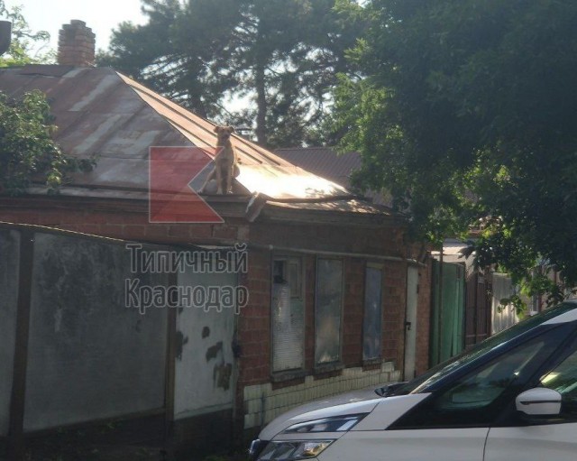 Идёшь такой по улице на расслабоне.