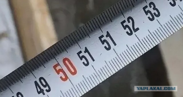 Сова82 дал потомство