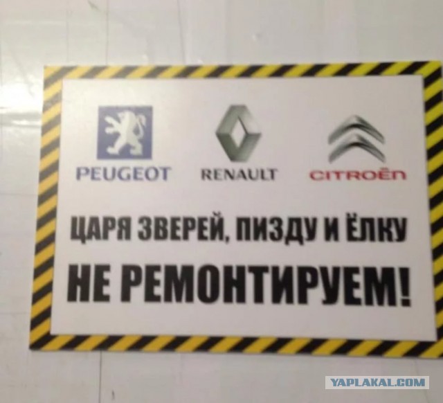 Немецкие и японские авто
