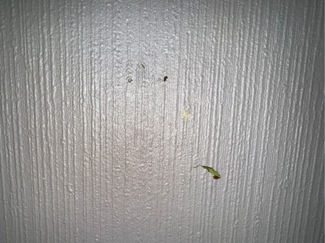 Вопрос к диванным экспертам...