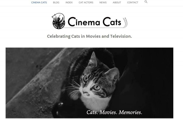 Факт дня: существует сайт с базой данных кошек, которые снимаются в кино