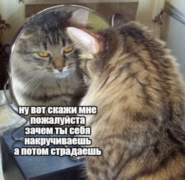 Картинки для деградации 87 (разной степени свежести)