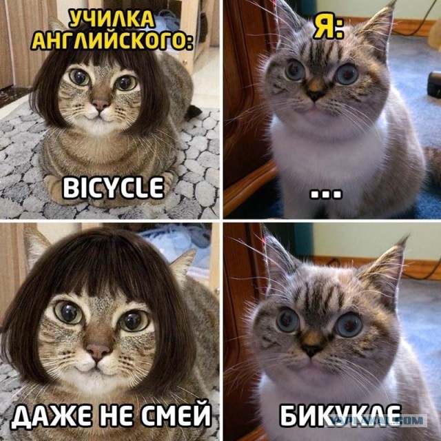 Кул миднайт фэшн селебрити лигхт дизайн