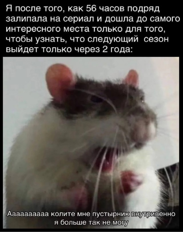 Среды картинки