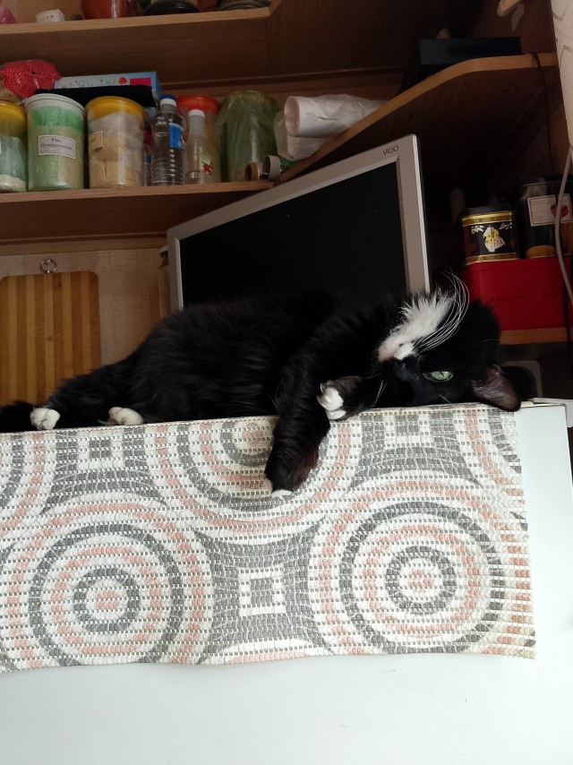 Фигли тебе надо кожанный