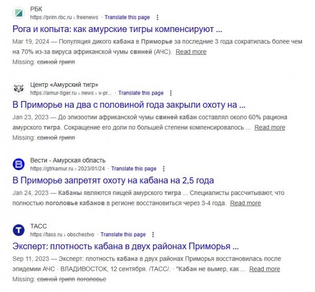 Тигр растерзал собаку у магазина в центре посёлка в Приморье и попал на видео