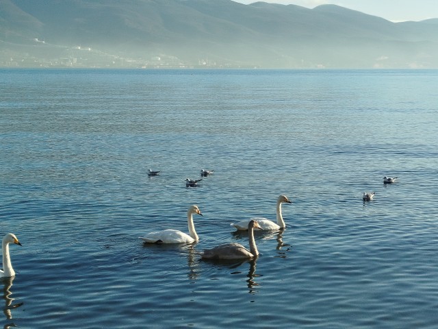 Российские мужчины всё чаще заказывают эскортниц на 14 и 23 февраля