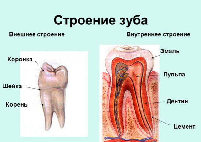 Этот запах жженых костей...