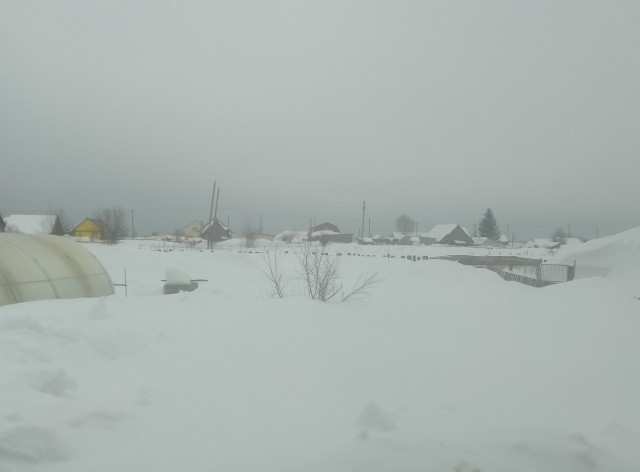 В Воронеж пришла весна.