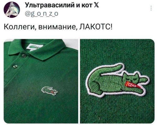 Одни кошки на уме