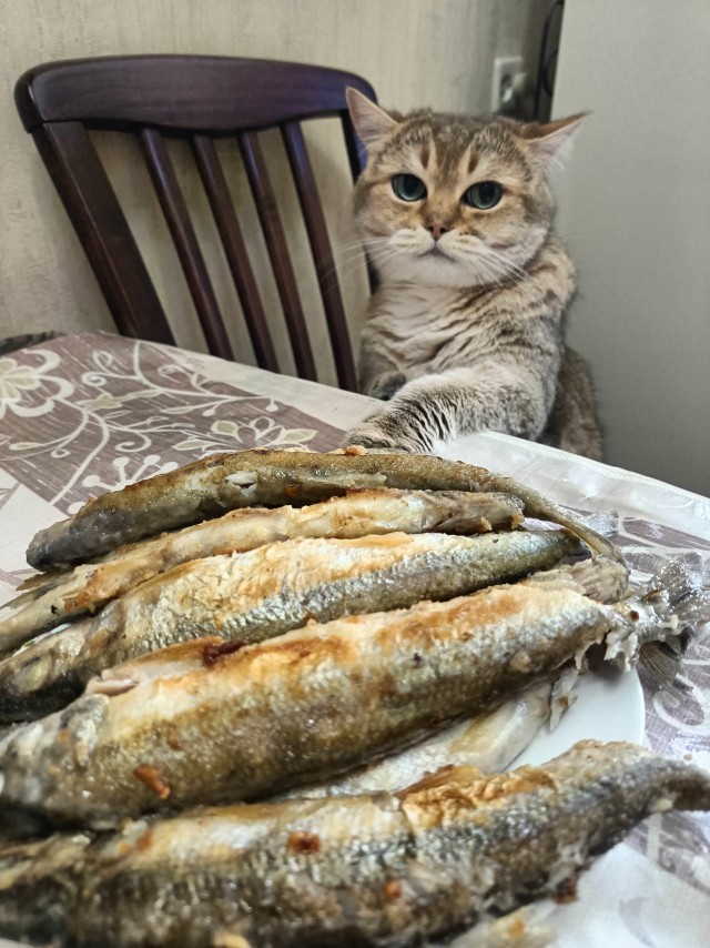 Я ничего не заметил, а вы?