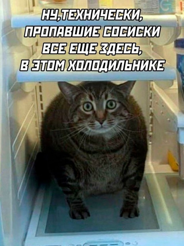 Веселое настроение в картинках 16.08.26