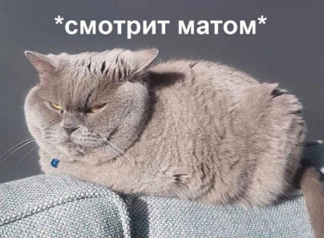 «Победив дракона, ты сам обречён им стать»