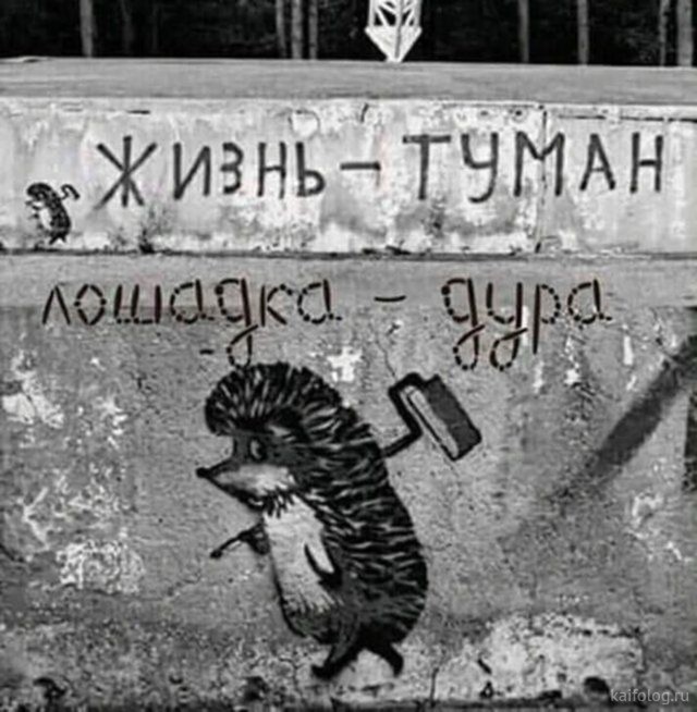 Прикольные и просто красивые картинки 23.10.2026