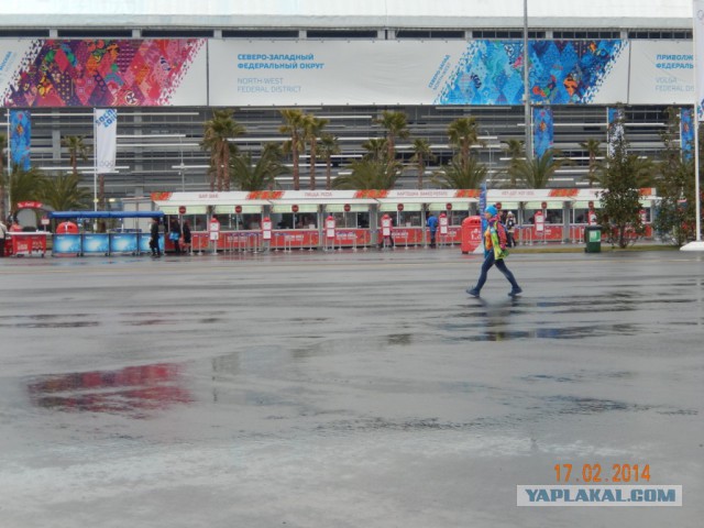 Два дня на Олимпиаде