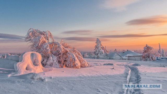 Сказочная зима от фотографа Владимира Чуприкова