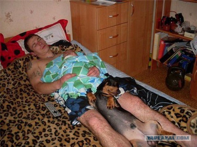 Сладкий сон