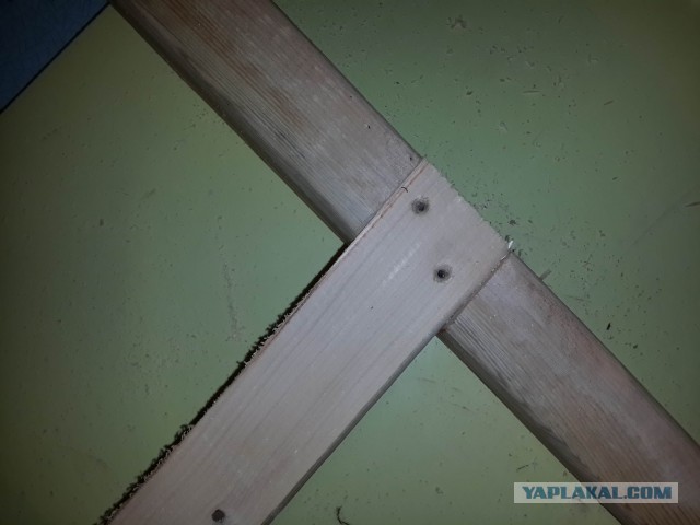 Как жаба и радикулит заставили меня