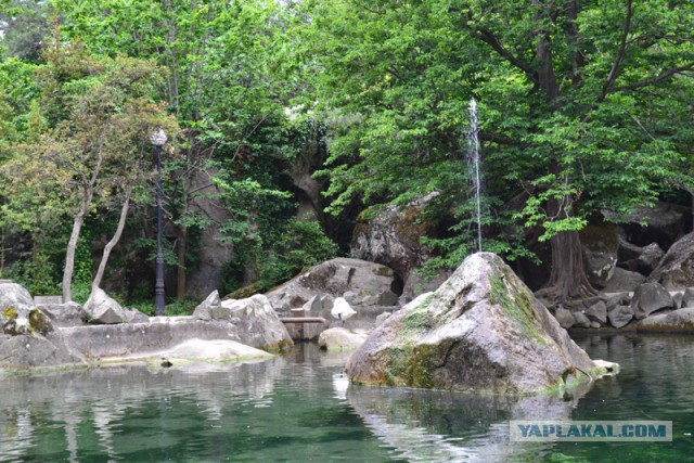 Отдых в Крыму 2014