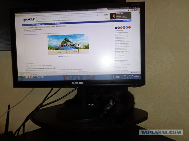Найденыш.