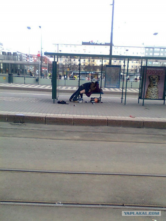 Вестник из соцсетей #8
