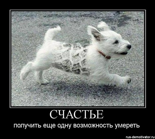 Вы хотите "демов"? часть 2-я