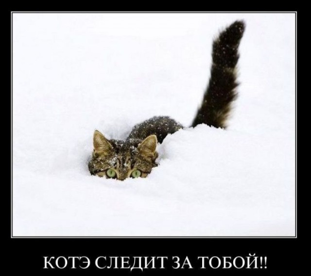 Мемы вспоминаем и добавляем....