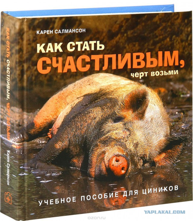 Помывка огромной грязной свиньи!
