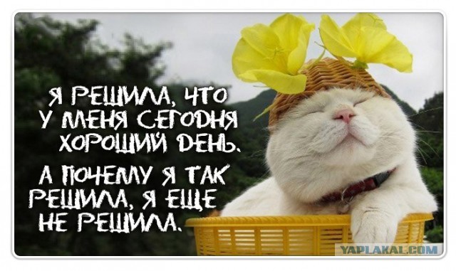 Женская логика. Мифы и реальность.