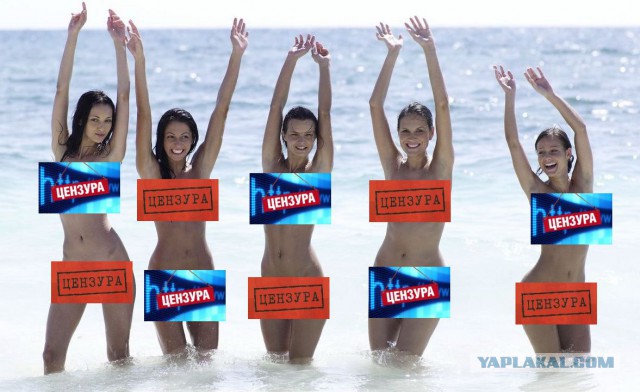 Когда зашел на ЯП, а эротику уже запретили