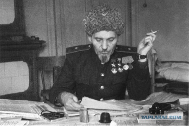 Сталин и партизанское движение