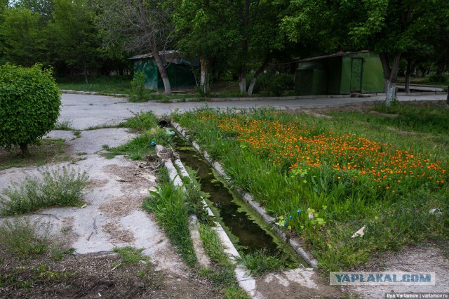 Культ личности в Туркменистане