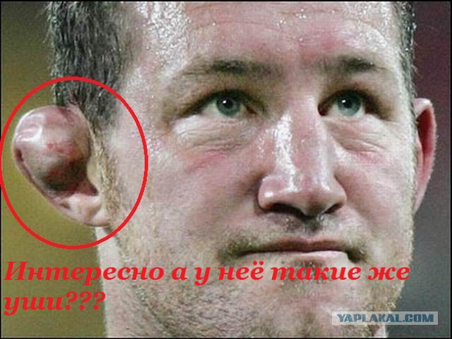 Девушка-борец Маккензи Дерн покорила пользователей сети своими захватами