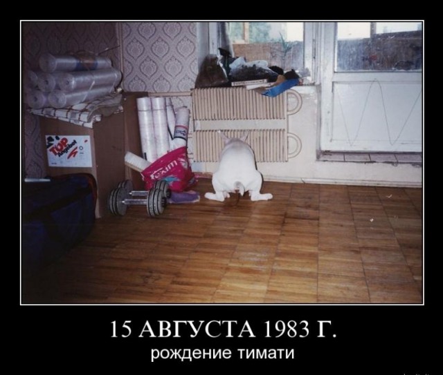 Когда немного перебрал c тантумверде