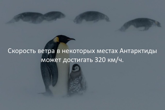 40 интересных фактов в картинках.