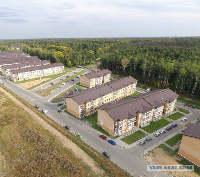 Страх и ненависть в Петербурге: Западное Мурино