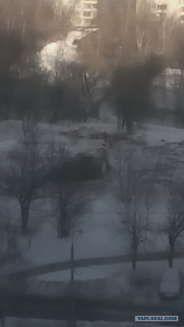 Тотальный снос гаражей в Москве!